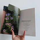 Gowanus Field Guide