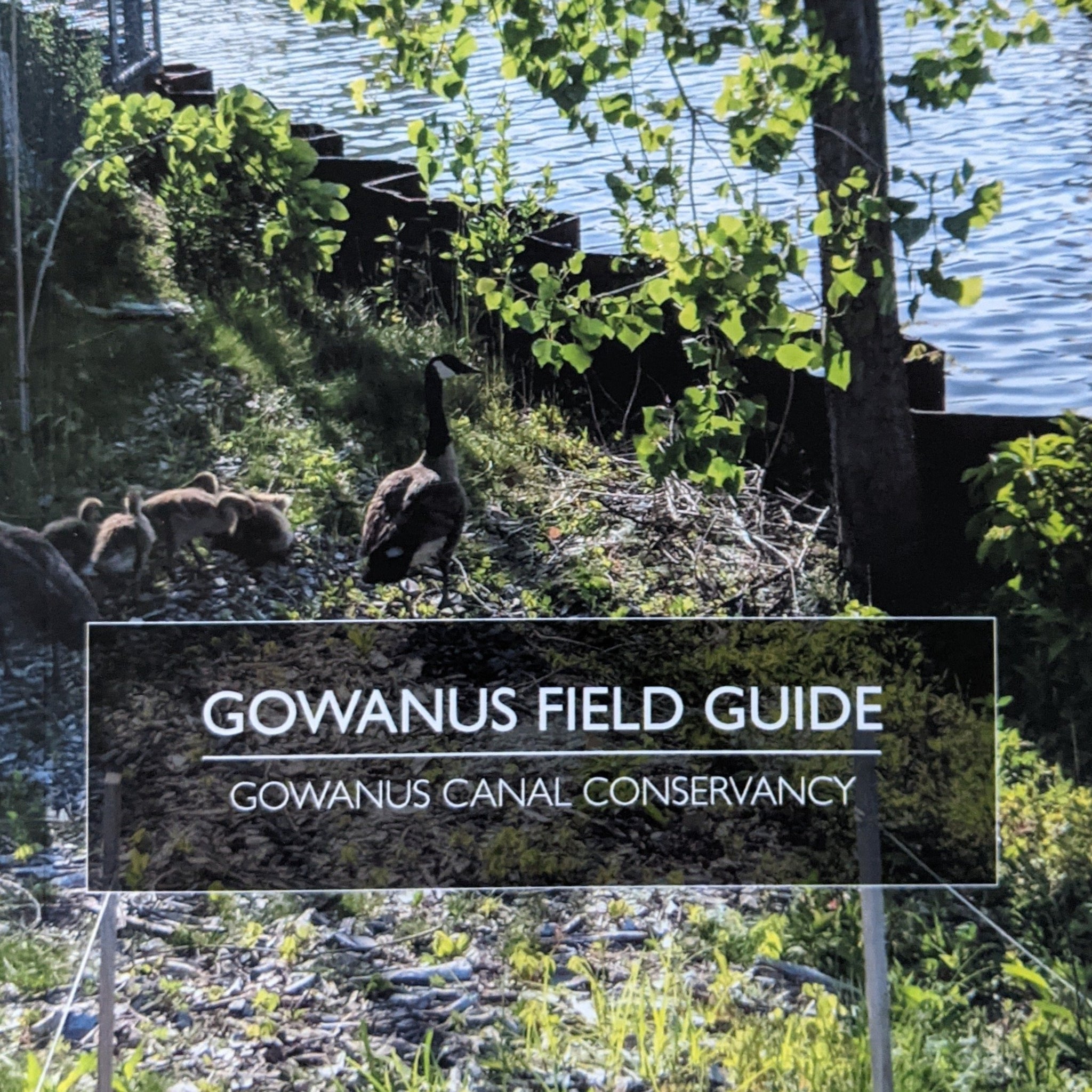 Gowanus Field Guide